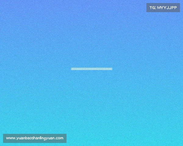 赛事协办方精彩发言实录助力大型活动圆满成功内涵深刻见解